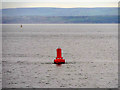 NT2383 : Firth of Forth North Channel Marker Buoy 10 by David Dixon