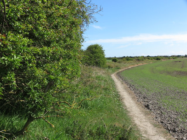 Footpath near Holywell Dene, Hartley Lane