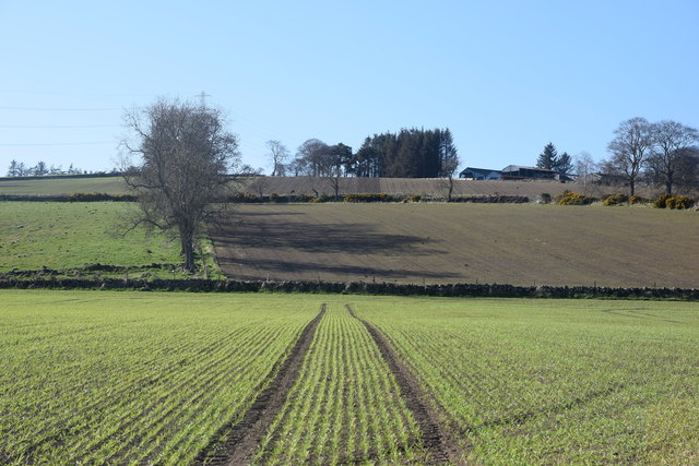 Aberdeenshire fieldscape