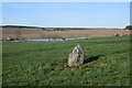 NJ8014 : Ferneybrae Standing Stone by Bill Harrison