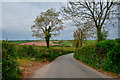 Washford Pyne : Copstone Hill