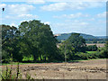 View south-west from Bepton Road