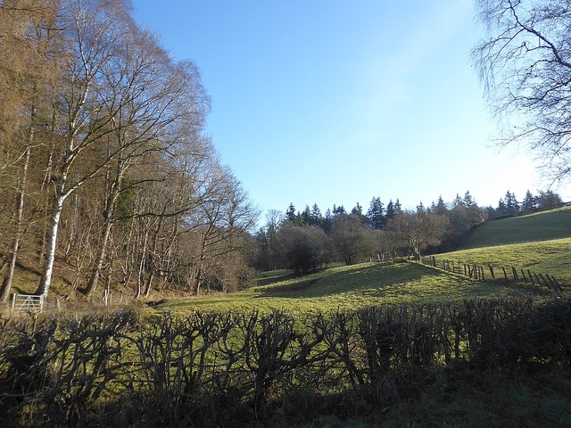 Small pasture beside the wood at Glascoed