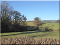 View WNW from the lane to Llanmerewig