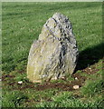 NJ8014 : Ferneybrae Standing Stone (close look) by Bill Harrison