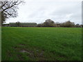 Farmland near Ladford Trading Park