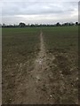 Footpath across field at Gosford Farm