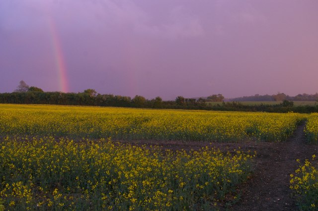 Sunset and showers, north-east of Saxmundham