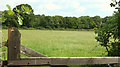 Trees and field near Lent Hill