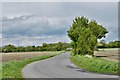 TM1869 : Southolt: Woodlane Road by Michael Garlick