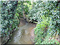 Confluence of Gatwick Stream and Stanford Brook