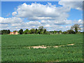 Towards Balsham Road