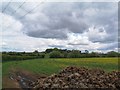 View over field towards Shireoaks Hill Farm