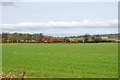 Field, West Durrington, 2010