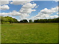 View across fields towards Down Park Farm