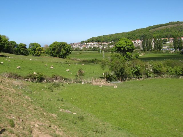 Farmland by the Afon Ganol