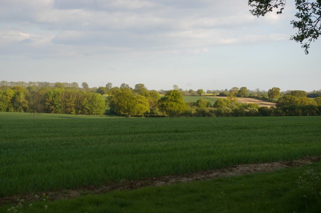 Fields and woods north of Kelsale