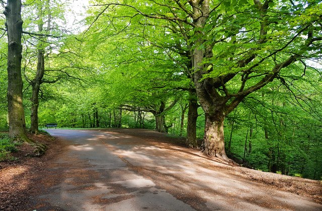 Oliver Clough © Peter McDermott cc-by-sa/2.0 :: Geograph Britain and ...