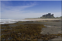 NU1835 : Bamburgh Castle by Malcolm Neal