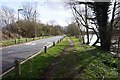 Thames Path towards Chertsey Bridge