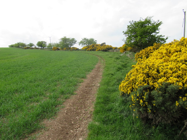 Non-existent path near Horseley in the Scottish Borders