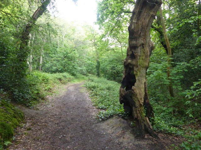 The Green Chain Walk on the way to Bostall Woods
