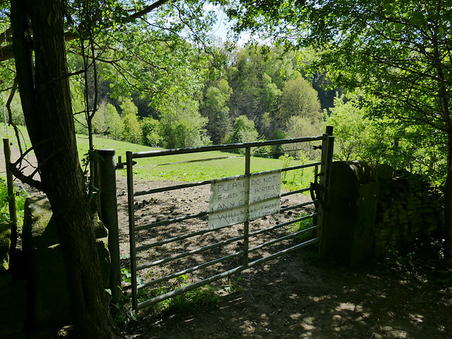Field gate off Tyersal Lane