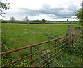 Gate and fields along Cosby Lane