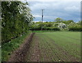 Farmland along the M1 motorway