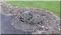 H8938 : The Bull's Track ancient stone at Ballymacnab by Sean Davis