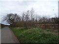 Field entrance and woodland near Kingswell Unit