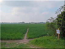 TL5357 : Footpath to Fulbourn by John Sutton