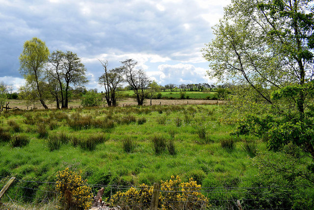 Rushy ground, Kiltamnagh © Kenneth Allen cc-by-sa/2.0 :: Geograph Ireland