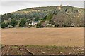 Field below Dulnain Park