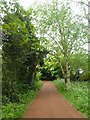 Cycle track passing Millbrook Village, Exeter (2)