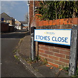 SZ0795 : East Howe: Etches Close by Chris Downer
