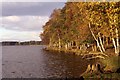 Autumn colours at Tatton Mere, Knutsford