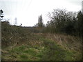 Footpath alongside Loscoe Brook west of Loscoe (2)