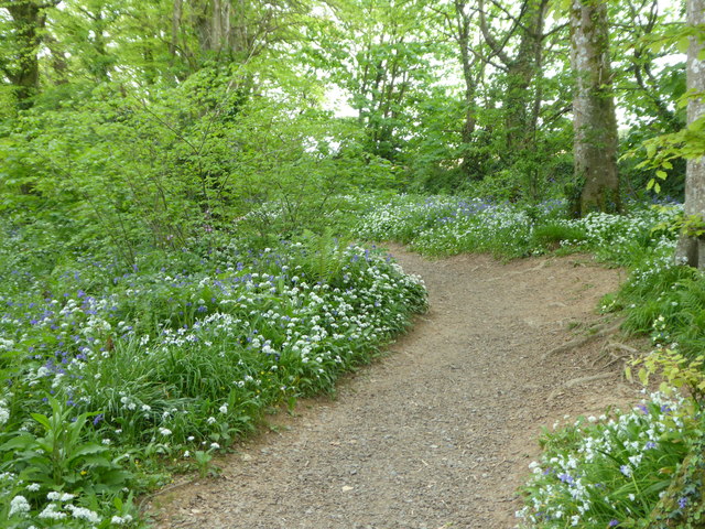 The path down Nansidwell valley to the beach