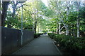 Path in Elthorne Park, Upper Holloway