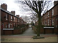 Path between terraces, Newstead