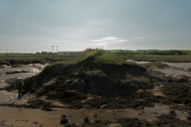 A ridge on Isley Marsh divided by a channel