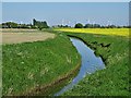 Brierholme Carr Drain