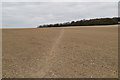 Footpath up the scarp slope