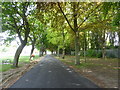 Path along the east side of Faversham Recreation Ground