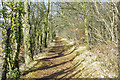 Path, Stanmer Park