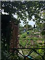 Sunbury Cemetery allotments from north