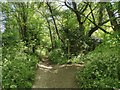 London Loop Footpath