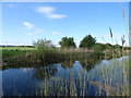 The Leven Canal