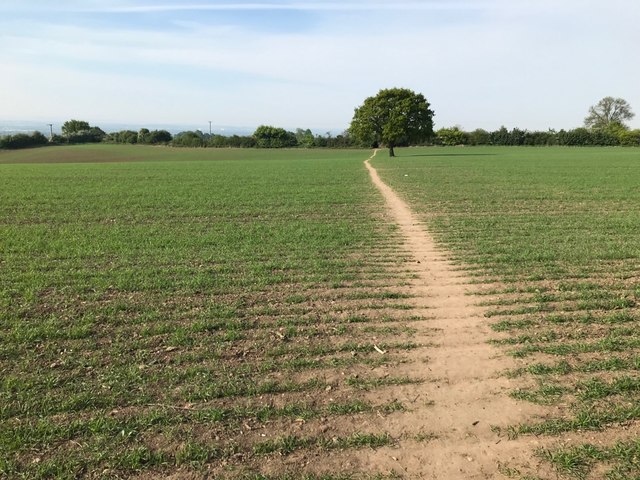 Path to Risley Lodge Farm